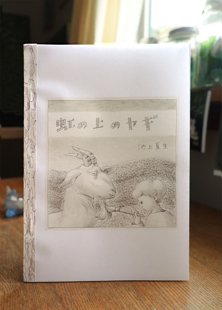Zine - Goat on the rainbow