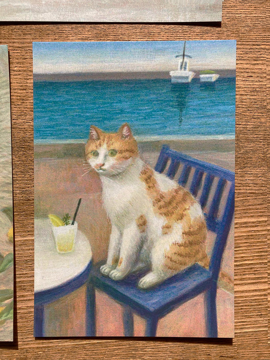 Cat postcard - one set of 5 no.1