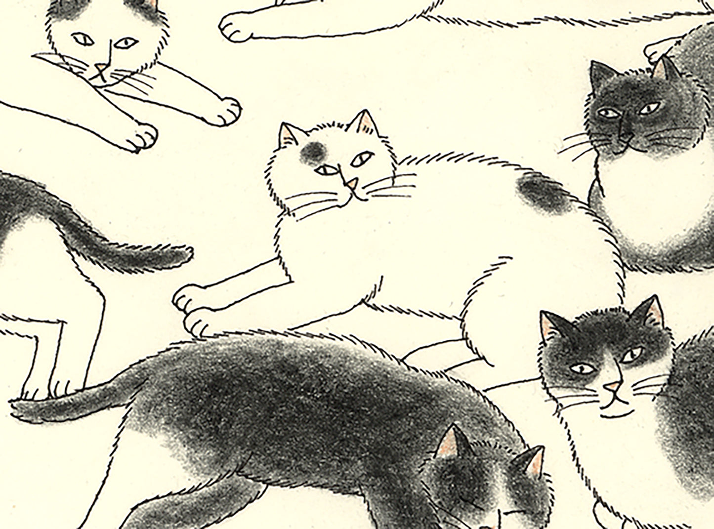 A4プリント - 白黒の猫 / B & W cats