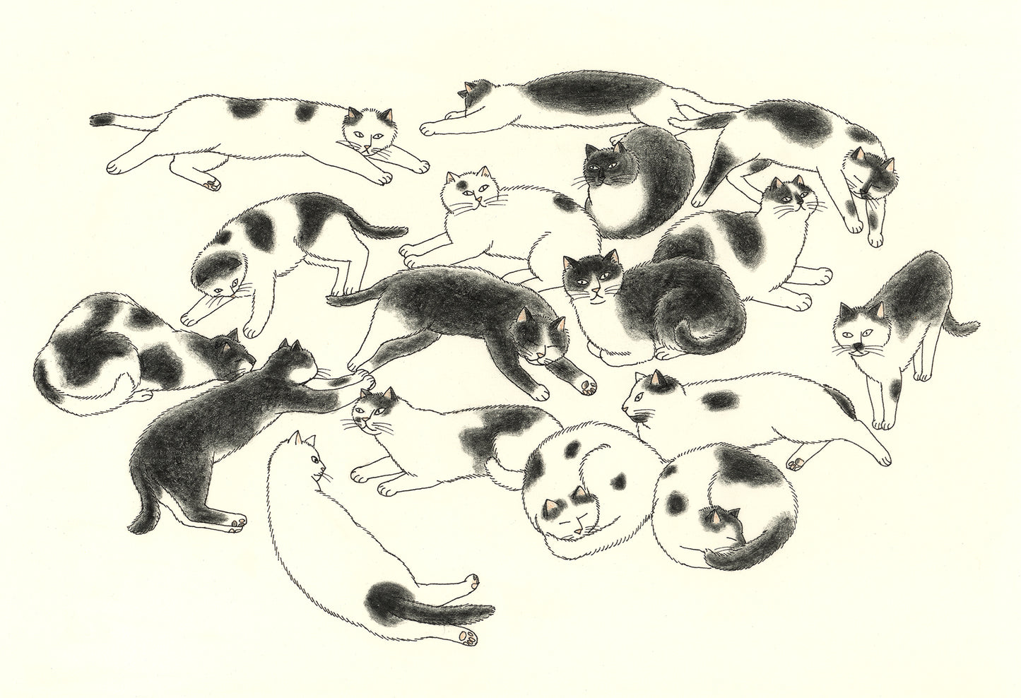A4プリント - 白黒の猫 / B & W cats