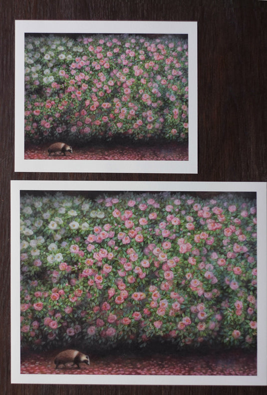 Raccoon dog and sasanqua