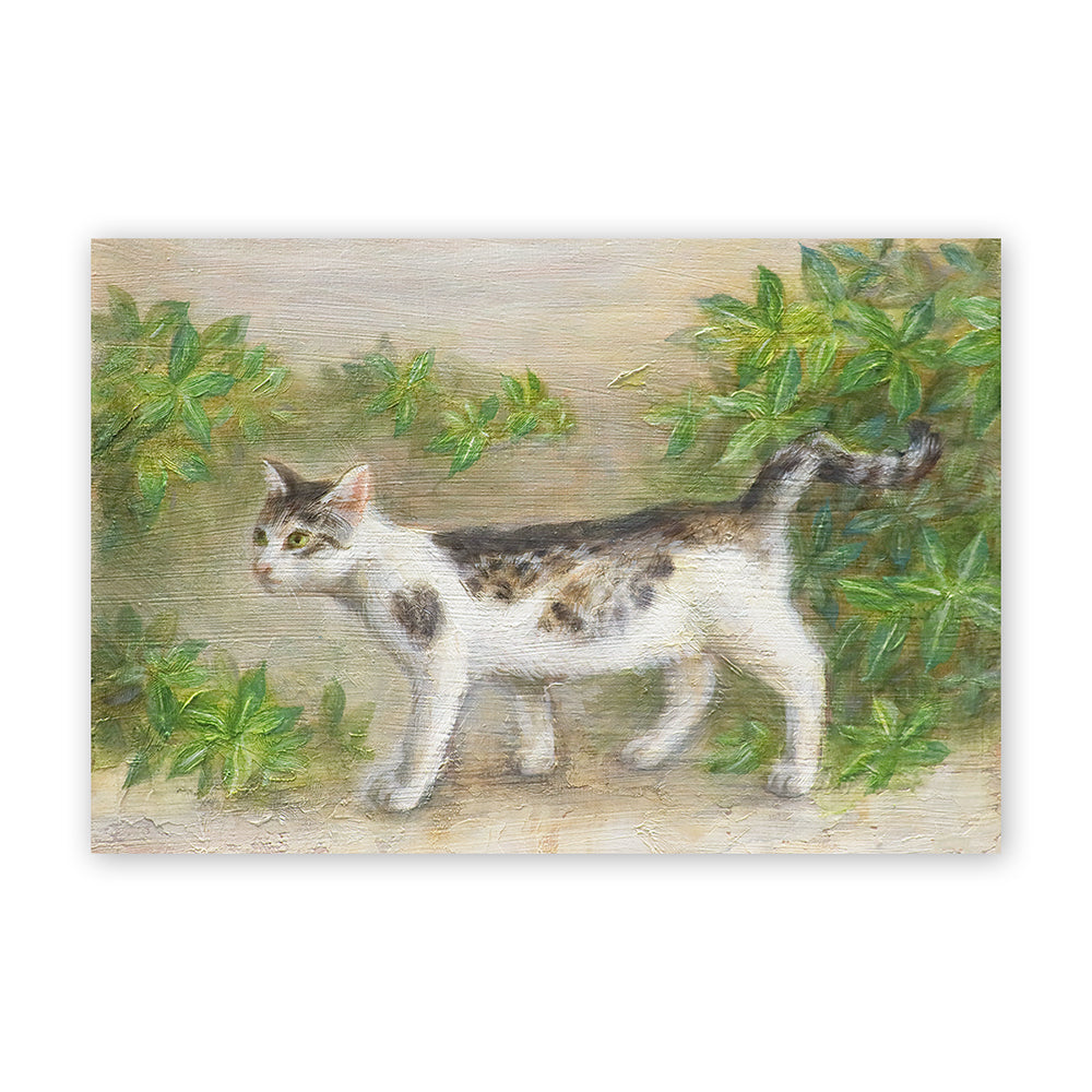 猫ポストカード - しっぽの曲がった猫