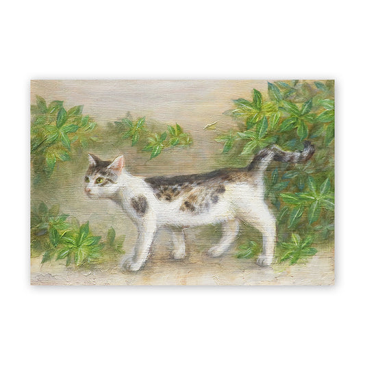 猫ポストカード - しっぽの曲がった猫