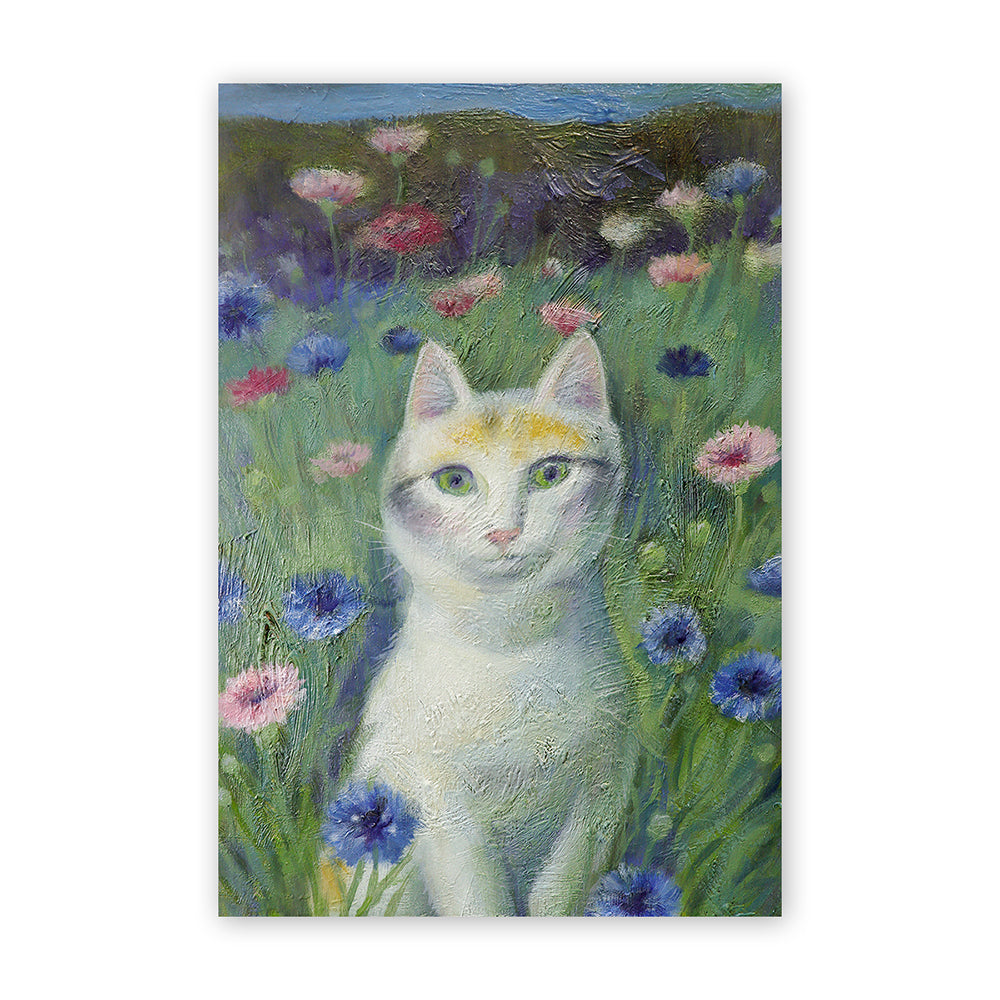 Cat postcard - Corn flower