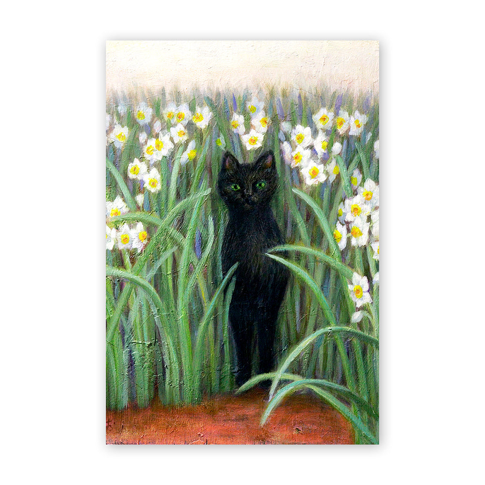 Cat postcard - Daffodils