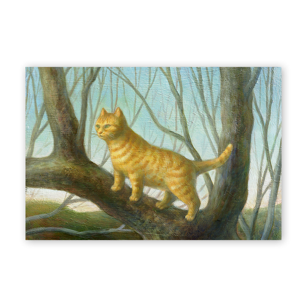 Cat postcard - Gazing into the distance