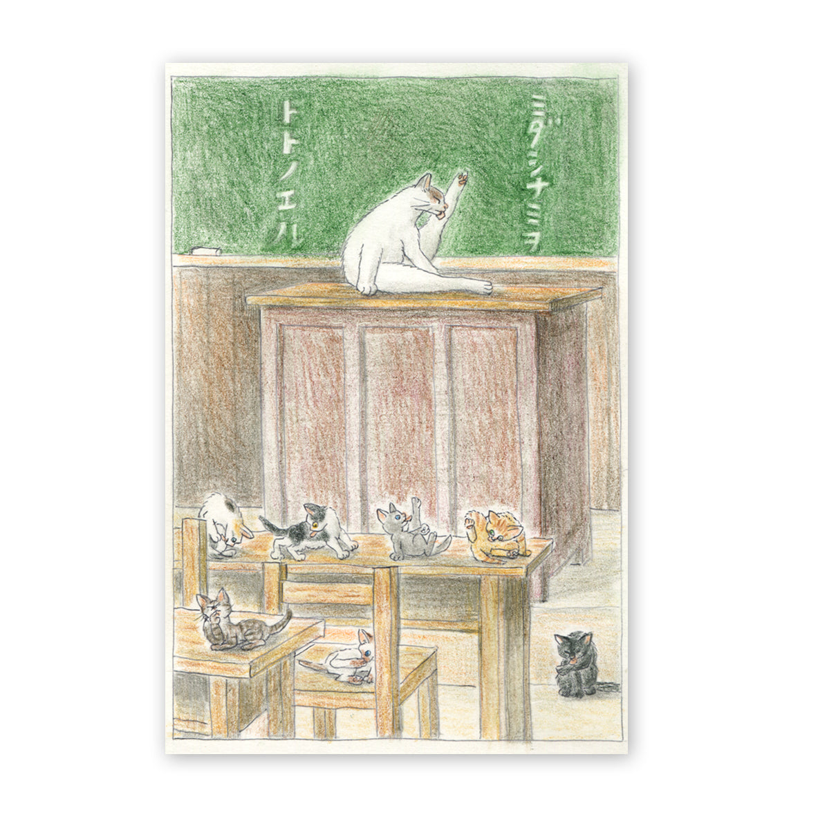 猫ポストカード - ミダシナミヲトトノエル