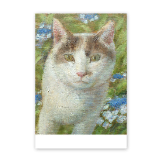 猫ポストカード -  紫陽花の咲く頃