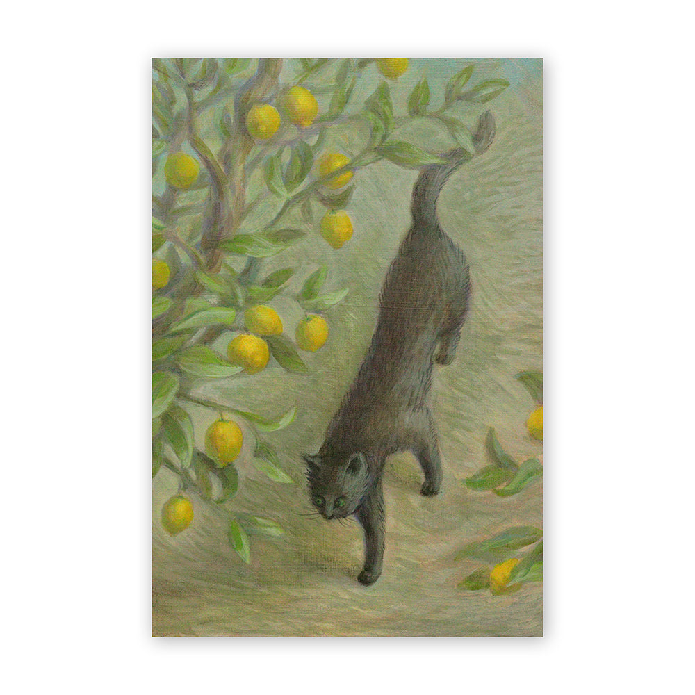 Cat postcard - Lemon Avenue
