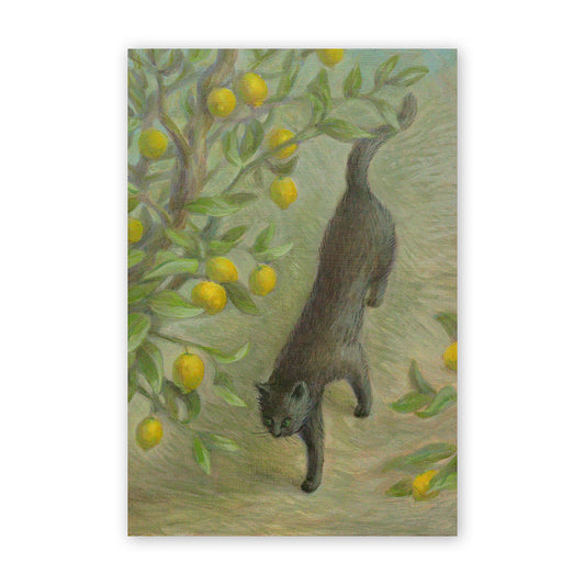 猫ポストカード - レモン通り