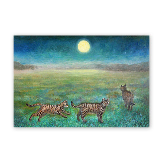 猫ポストカード - Moon