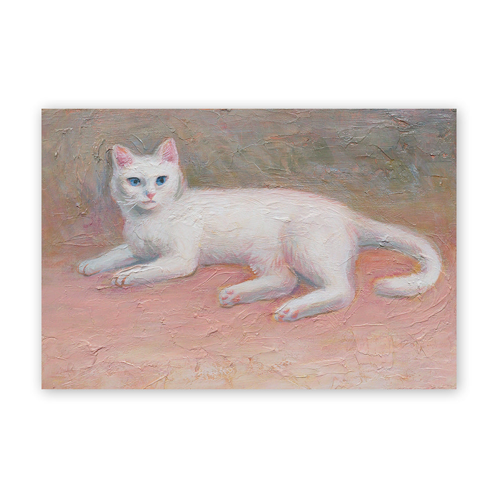 猫ポストカード - ピンクの地肌２