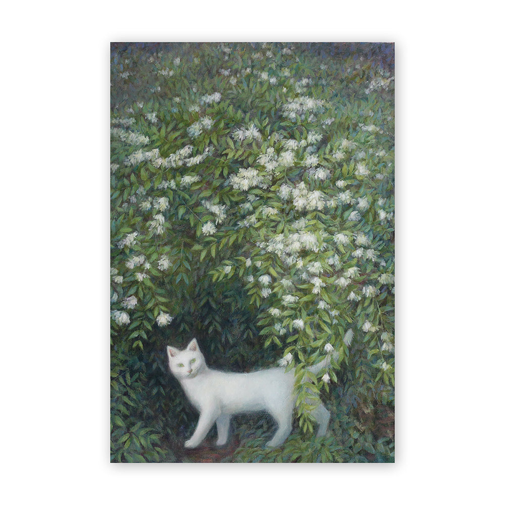 Cat postcard - Utsugi here and there
